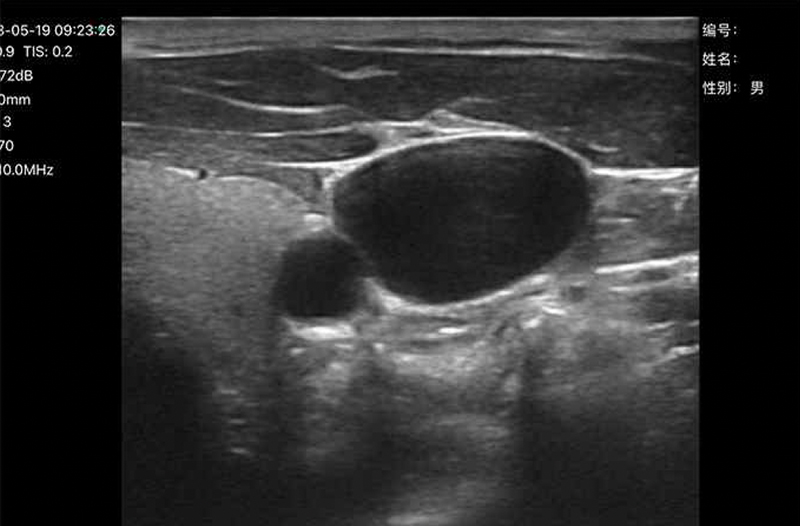 Obstetricia
